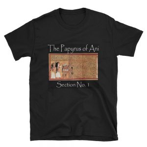 The True World Order "Book of the Coming Forth by Day and by Night | Papyrus of Ani Section No. 1" Short-Sleeve Unisex T-Shirt, Black and Navy