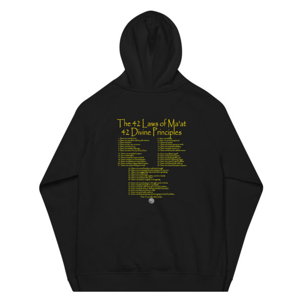 The True World Order “Heru, 2 Ankhs, Know ThySelf, 42 Laws of Ma’at” Unisex Raglan Hoodie - Image 5