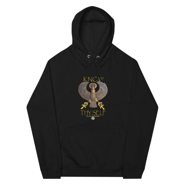 The True World Order “Heru, 2 Ankhs, Know ThySelf, 42 Laws of Ma’at” Unisex Raglan Hoodie - Image 4